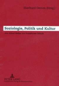 bokomslag Soziologie, Politik Und Kultur