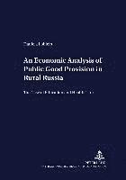 bokomslag An Economic Analysis of Public Good Provision in Rural Russia