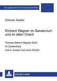 bokomslag Richard Wagner im Sanatorium und im alten Orient