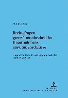 bokomslag Rechtsfragen Grenzueberschreitender Unternehmenszusammenschluesse
