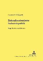 bokomslag Zukunftsorientierte Industriepolitik