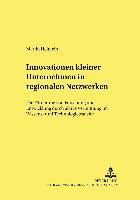 bokomslag Innovationen Kleiner Unternehmen in Regionalen Netzwerken