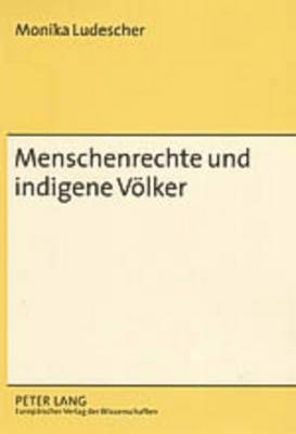 bokomslag Menschenrechte Und Indigene Voelker