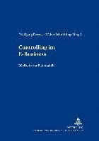 Wolfgang Berens, Walter Schmitting - Controlling Im E-Business, Häftad
