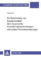 bokomslag Die Besicherung Von Konzernkrediten Ueber So Genannte Ausstattungsverpflichtungen Und Andere Patronatserklaerungen