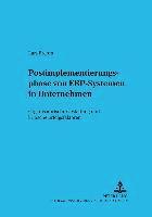Lars Brehm, Armin Heinzl - Postimplementierungsphase Von Erp-Systemen in Unternehmen, Häftad