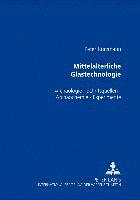 bokomslag Mittelalterliche Glastechnologie