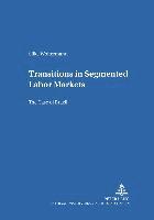 Silke Woltermann, Hermann Sautter - Transitions in Segmented Labor Markets: The Case of Brazil, Häftad