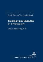 bokomslag Language and Identities in a Postcolony