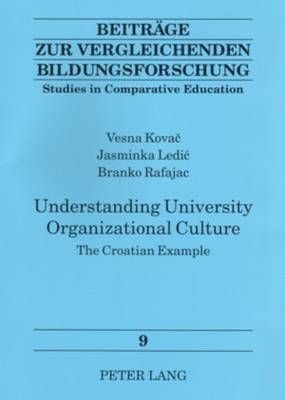 bokomslag Understanding University Organizational Culture