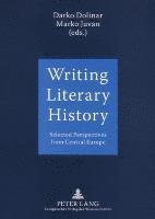 bokomslag Writing Literary History