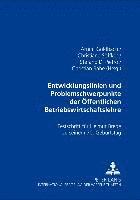 bokomslag Entwicklungslinien Und Problemschwerpunkte Der Oeffentlichen Betriebswirtschaftslehre