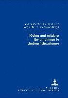 Kleine Und Mittlere Unternehmen in Umbruchsituationen