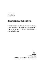 Jörg Gallus, Helmut Arntzen - Labyrinthe der Prosa, Häftad