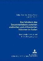 Melha Rout Biel, Maria Roth, Isaac Wel Majak - Das Scheitern Des Zusammenlebens Zwischen Arabischen Und Afrikanischen Staemmen Im Sudan, Häftad