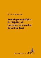 bokomslag Anlisis Paremiolgico de El Quijote de Cervantes En La Versin de Ludwig Tieck