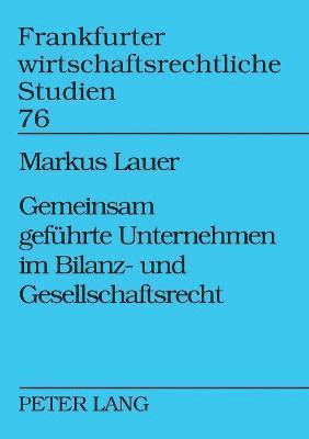 Markus Lauer - Gemeinsam gefuehrte Unternehmen im Bilanz- und Gesellschaftsrecht, Häftad