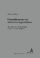 bokomslag Fernsehkonsum Von Tuerkischen Jugendlichen