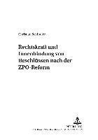 Christian Schindler, Peter Gottwald - Rechtskraft Und Innenbindung Von Beschluessen Nach Der Zpo-Reform, Häftad