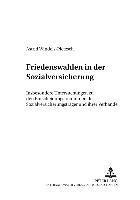 Astrid Windels-Pietzsch, Friedrich E Schnapp - Friedenswahlen in Der Sozialversicherung, Häftad
