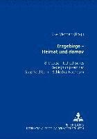 bokomslag Erzgebirge - Heimat Und «Domov»