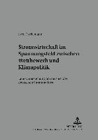 Stromwirtschaft Im Spannungsfeld Zwischen Wettbewerb Und Klimapolitik 1