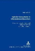 Hybride Sinnsysteme in Informationsnetzwerken 1
