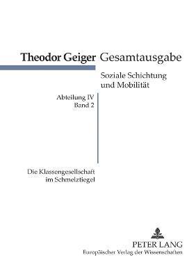 bokomslag Klassengesellschaft im Schmelztiegel