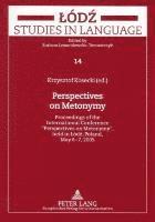 bokomslag Perspectives on Metonymy