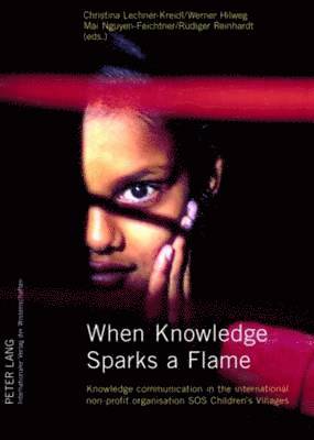 Christina Lechner-Kreidl, Werner Hilweg, Mai Nguyen-Feichtner, Reudiger Reinhardt, Rüdiger Reinhardt, Mai-Gyuen-Feichtner - When Knowledge Sparks a Flame, Häftad
