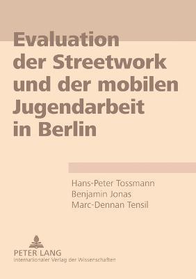 bokomslag Evaluation der Streetwork und der mobilen Jugendarbeit in Berlin