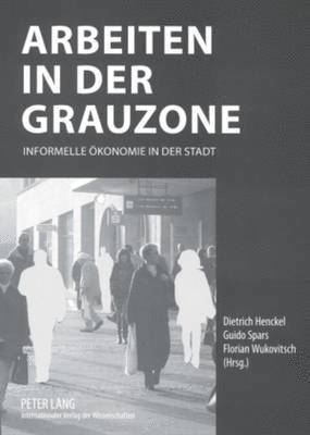 bokomslag Arbeiten in Der Grauzone