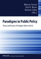bokomslag Paradigms in Public Policy