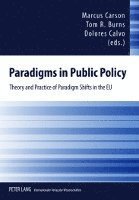 Paradigms in Public Policy 1