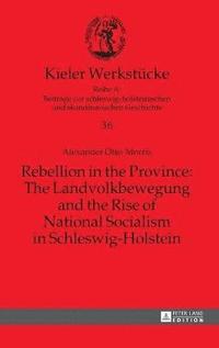 bokomslag Rebellion in the Province: The Landvolkbewegung and the Rise of National Socialism in Schleswig-Holstein