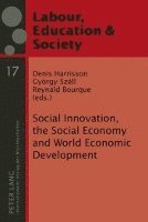 bokomslag Social Innovation, the Social Economy and World Economic Development