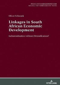 bokomslag Linkages in South African Economic Development