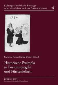 bokomslag Historische Exempla in Fuerstenspiegeln Und Fuerstenlehren
