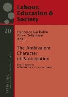 Francesco Garibaldo, Volker Telljohann - Ambivalent Character of Participation, Inbunden