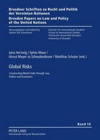 bokomslag Global Risks