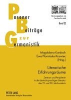 bokomslag Literarische Erfahrungsraeume: Zentrum Und Peripherie in Der Deutschsprachigen Literatur Des 19. Und 20. Jahrhunderts