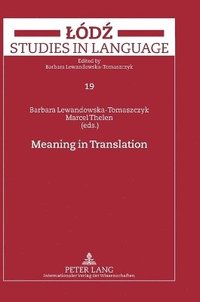 bokomslag Meaning in Translation