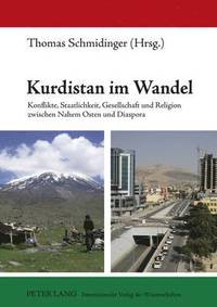 bokomslag Kurdistan Im Wandel