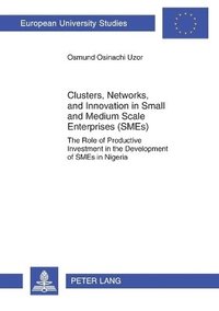 bokomslag Clusters, Networks, and Innovation in Small and Medium Scale Enterprises (SMEs)