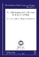 bokomslag Dictionary of City Names in American Slang