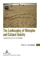 Patrick Laviolette, Patrick LaViolette - Landscaping of Metaphor and Cultural Identity, Inbunden