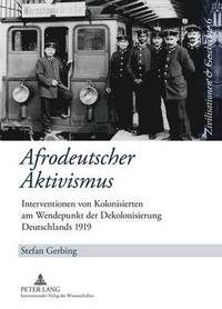bokomslag Afrodeutscher Aktivismus