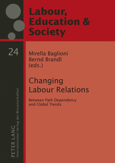 bokomslag Changing Labour Relations