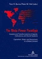 bokomslag Meta-Power Paradigm
