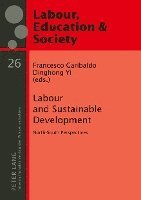 bokomslag Labour and Sustainable Development
